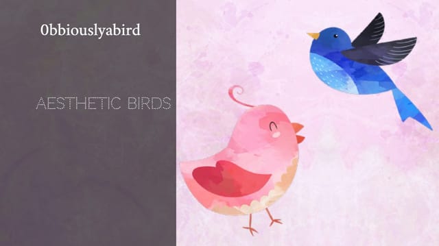 0bbiouslyabird's Story