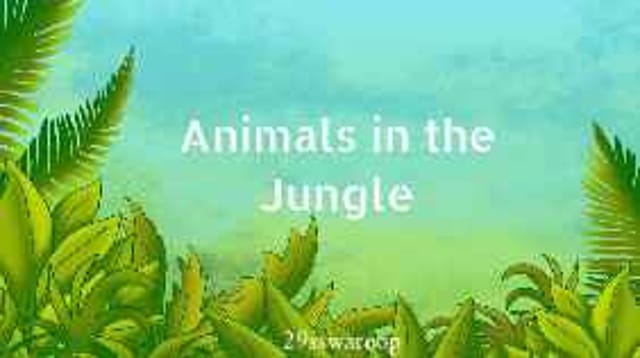 Animals in the Jungle