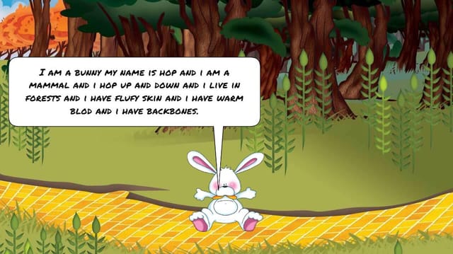Bunny story