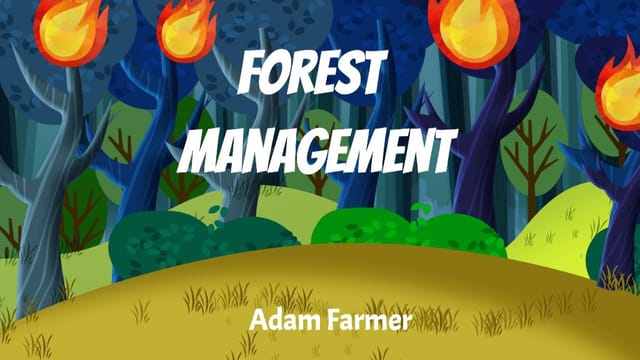 Adamf's Story