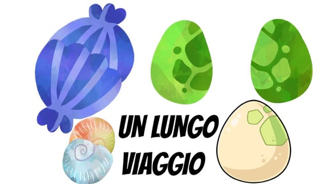 UN LUNGO VIAGGIO