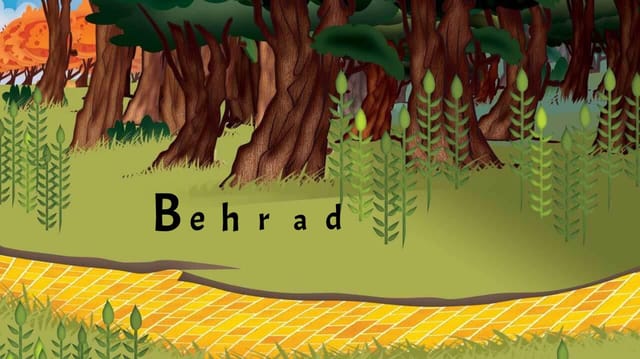 Behrad's Story