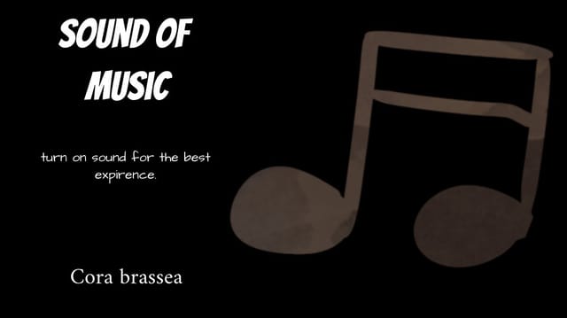 Sound of music