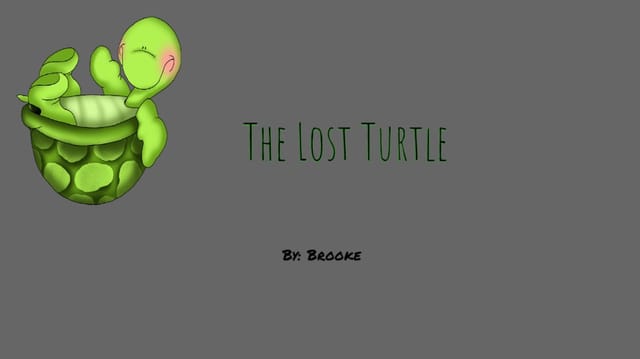 The Lost Turtle