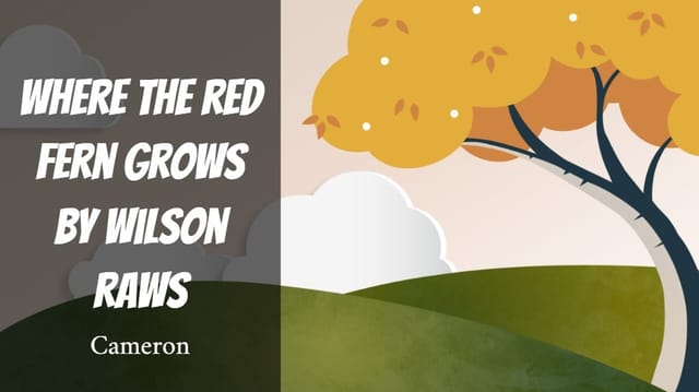 Cameron's Story