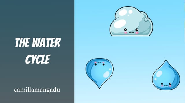 Camillamangadu's Story