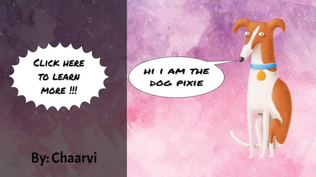Animal project by Chaarvi