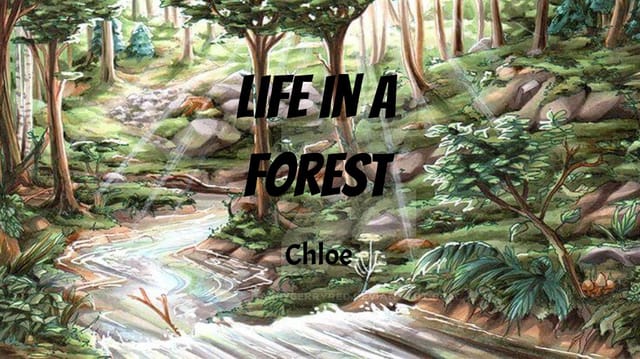 Chloe's Story