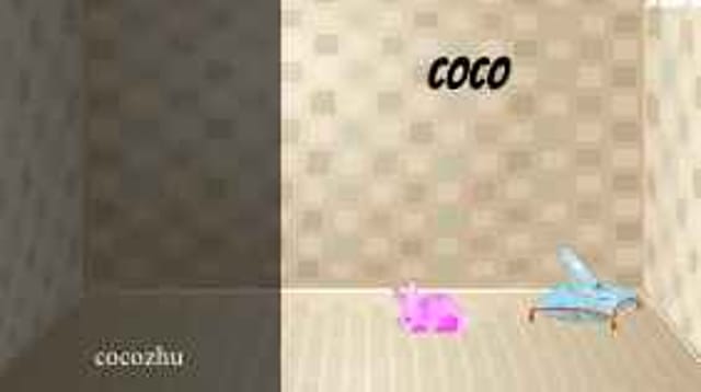 Cocozhu's Story