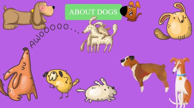 About Dogs