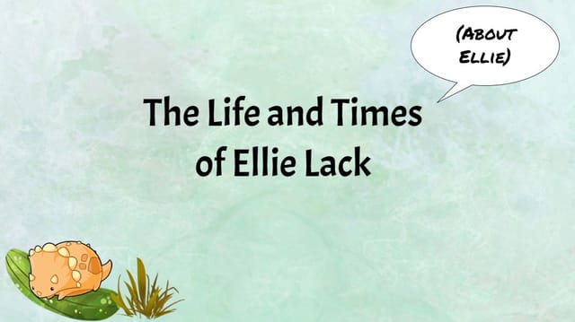 About Ellie