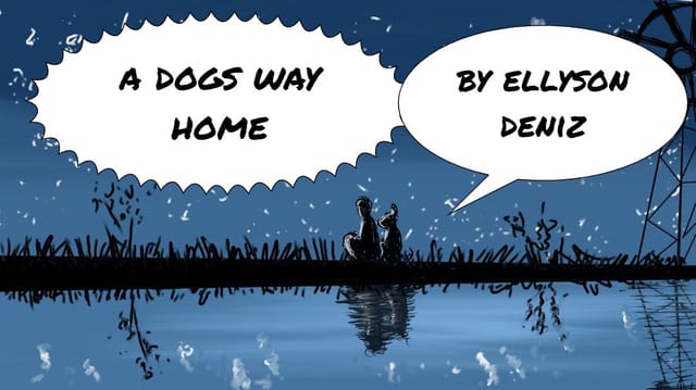 Ellyson's Story