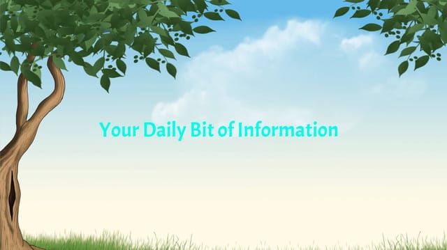 Your Daily Bit of Information : Issue 5