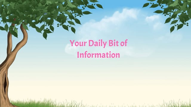 Your Daily Bit of Information: Issue 1