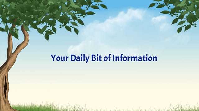 Your Daily Bit of Information : Issue 8
