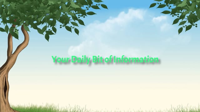 Your Daily Bit of Information : Issue 7