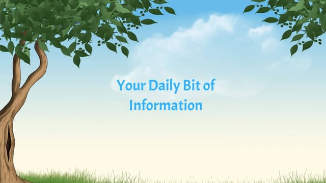 Your Daily Bit of Information:Issue 4