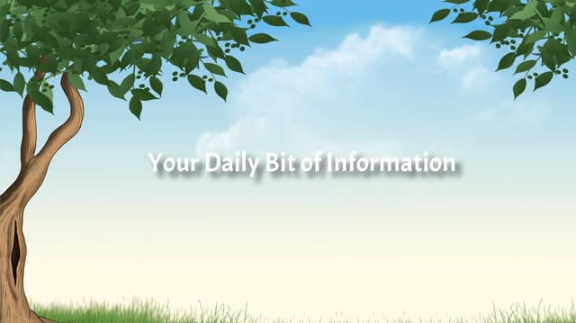 Your Daily Bit of Information : Issue 11