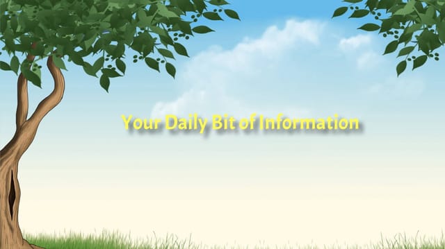 Your Daily Bit of Information : Issue 6