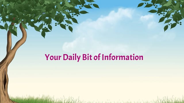 Your Daily Bit of Information : Issue 12