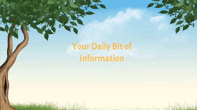 Your Daily Bit of Information: Issue 2