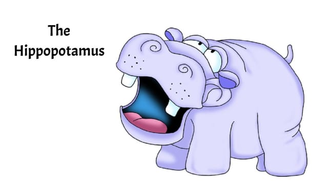 The Hippopotamus