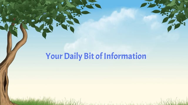 Your Daily Bit of Information : Issue 9