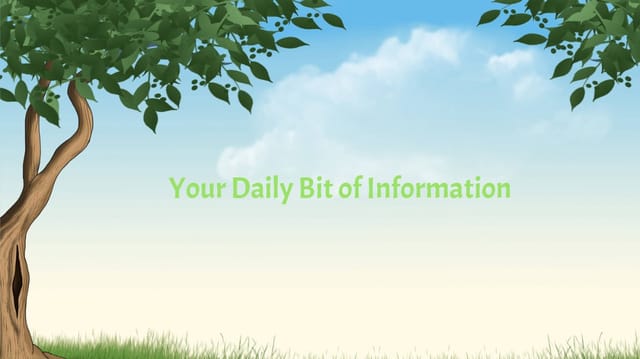 Your Daily Bit of Information :Issue 3