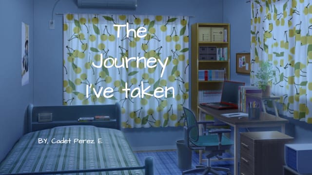 The Journey I've taken .