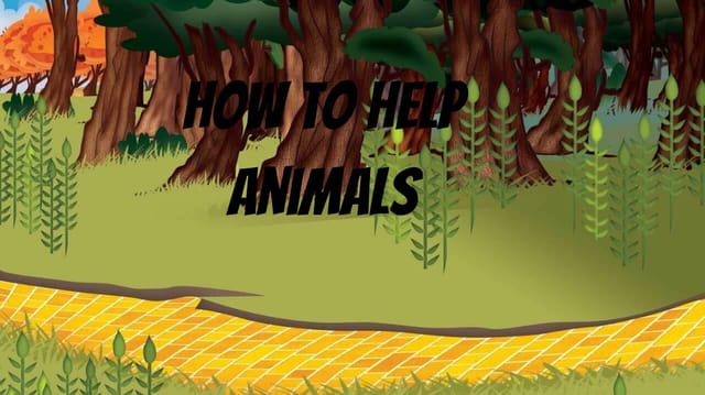 Help animals