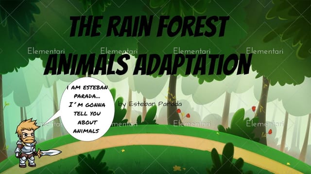 The Rain Forest Adaptation