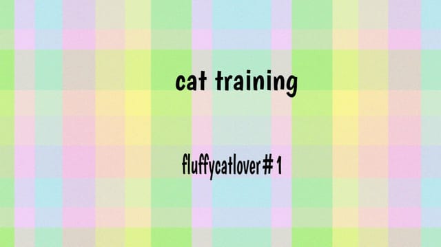 Cat Training