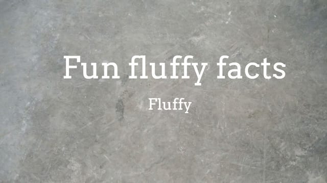 Fun fluffy facts