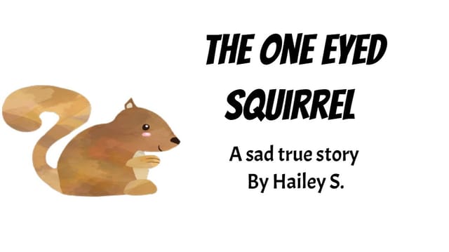Haileys6's Story