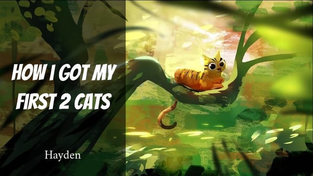 How I got my two first cats