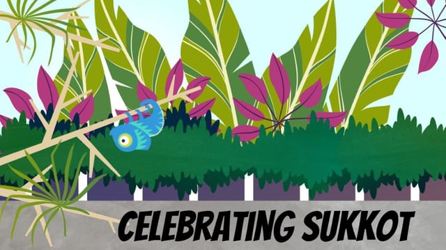 sukkot Story