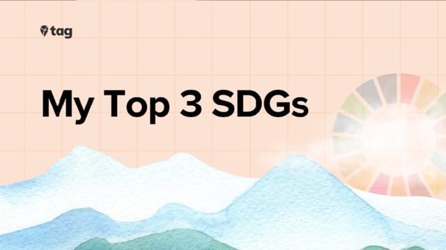 My Top 3 SDGs