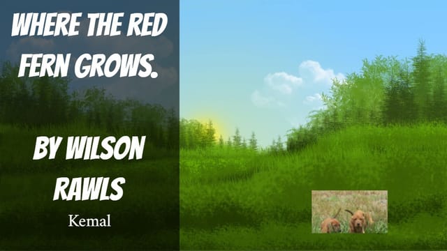 Where the Red Fern Grows story board (kemal mclean).