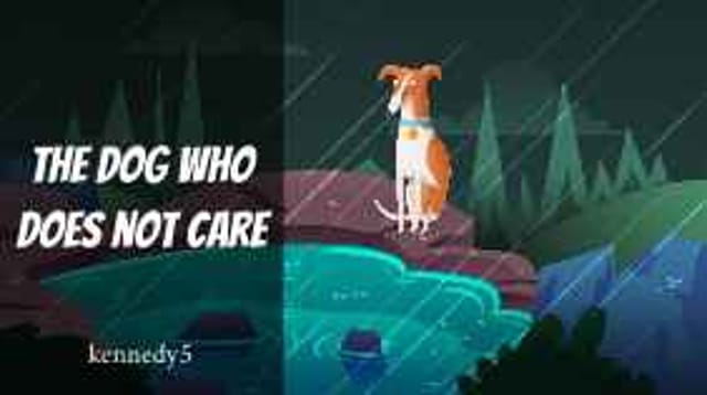 The dog that does not care