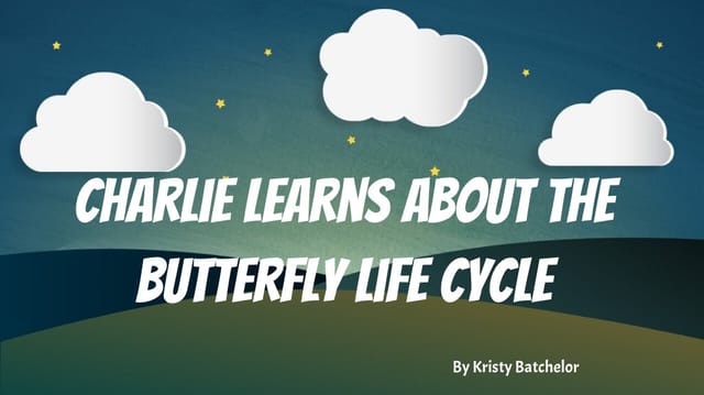 Knbatchelor's Story