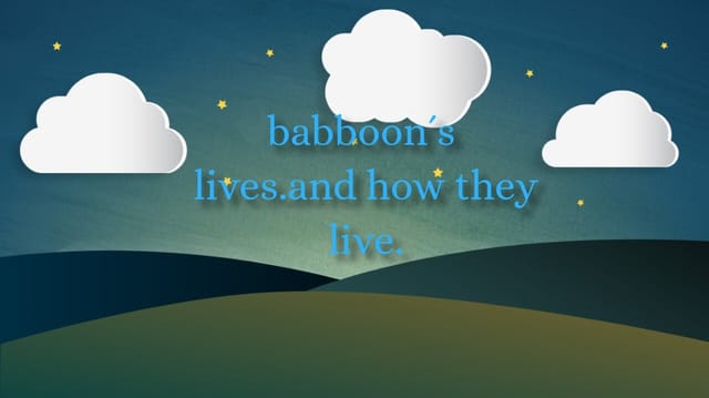 Lilpiggy's Story