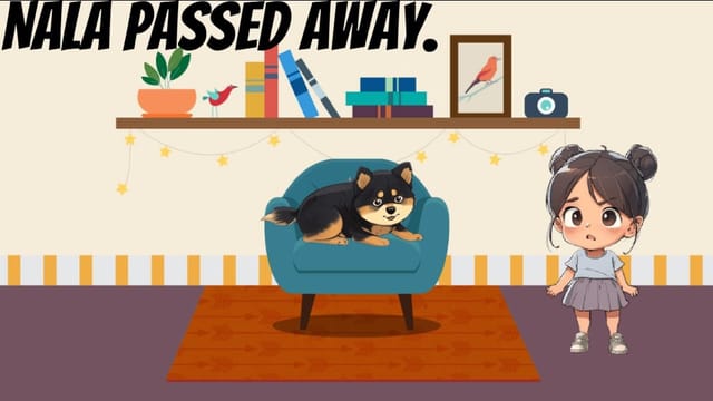 Lilyf's Project