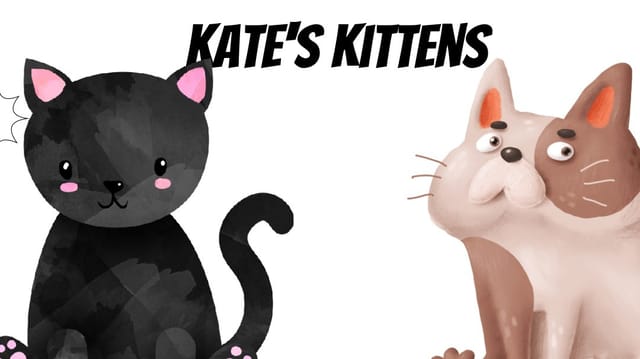 Kate's Kittens