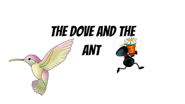 the dove and the ant Remix