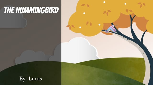 The Hummingbird