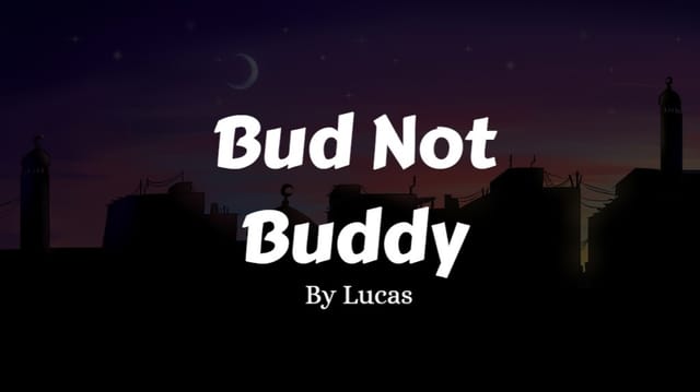 Lucas's Story