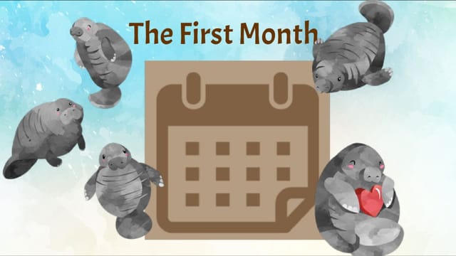 The First Month