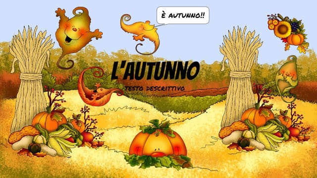 My Book