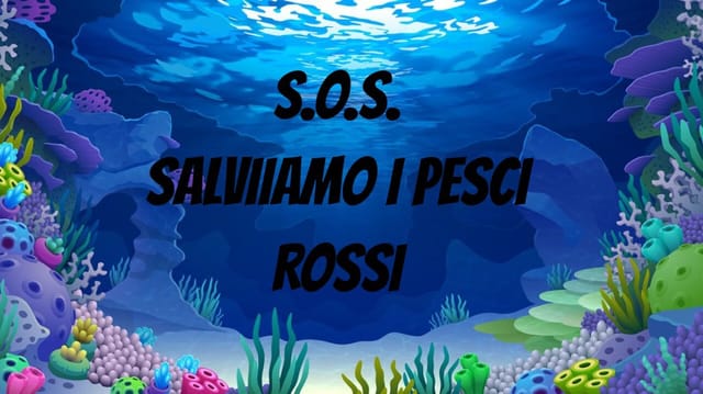 S.O.S. - Salviamo i pesci rossi