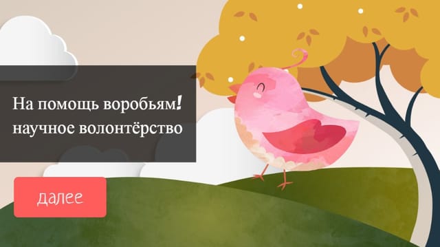 День переписи воробьёв